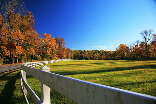 Pine Creek Park