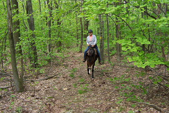 Horse-Shoe Trail